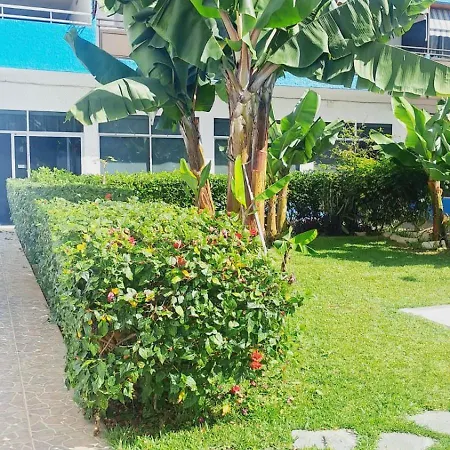 Estudio Playa Jardin * Puerto de la Cruz (Tenerife)