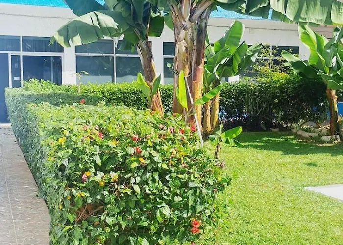 Estudio Playa Jardin * بويرتو ذي لا كروز